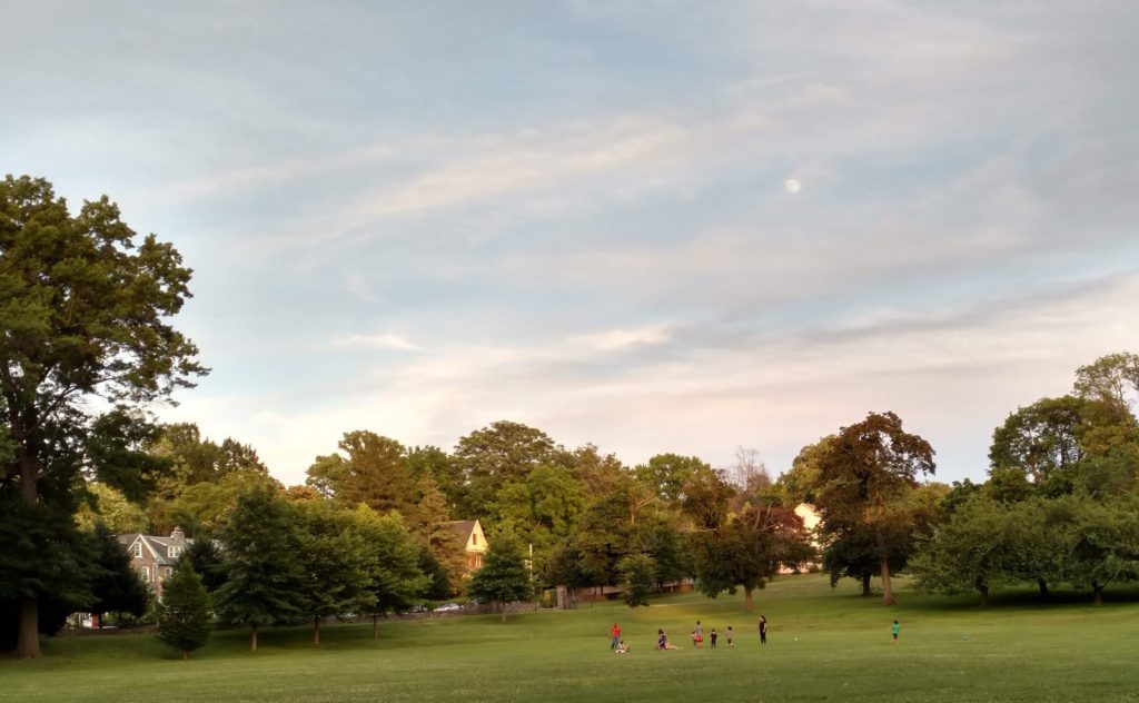 children running in a wide field, under the moon